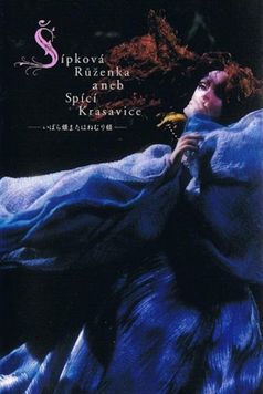 Briar-Rose or the Sleeping Beauty