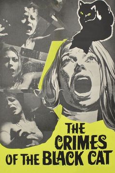 The Crimes Of The Black Cat (1972) - Movieo