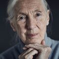 Jane Goodall