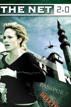 The Net 2.0