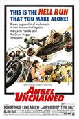 Hell's Angels '69