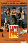 Soul Brothers of Kung Fu