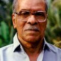 N.N. Pillai