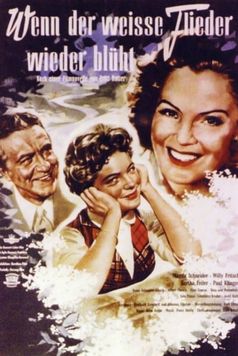 When the White Lilacs Bloom Again