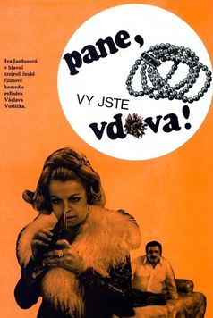 You Are a Widow, Sir