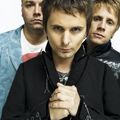 Muse