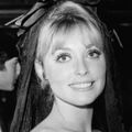 Sharon Tate