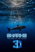 Sharks 3D