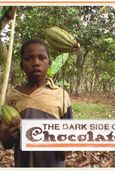 Shady Chocolate