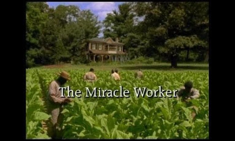 the miracle worker 2000 download the miracle worker 2000 download