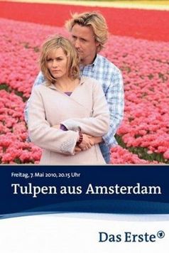 Tulpen aus Amsterdam