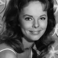 Anne Helm