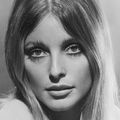 Sharon Tate