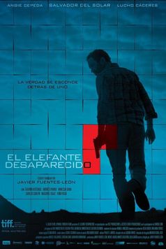 The Vanished Elephant