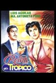 Estampida