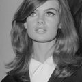 Jean Shrimpton